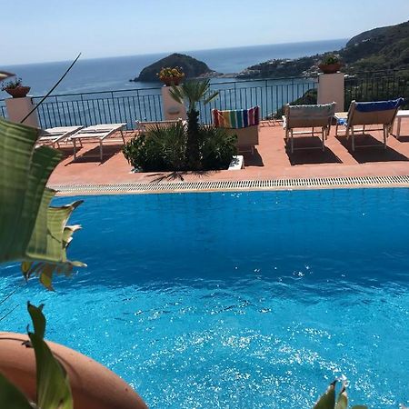 L' Ulivo Villa Nunzia Barano dʼIschia Esterno foto