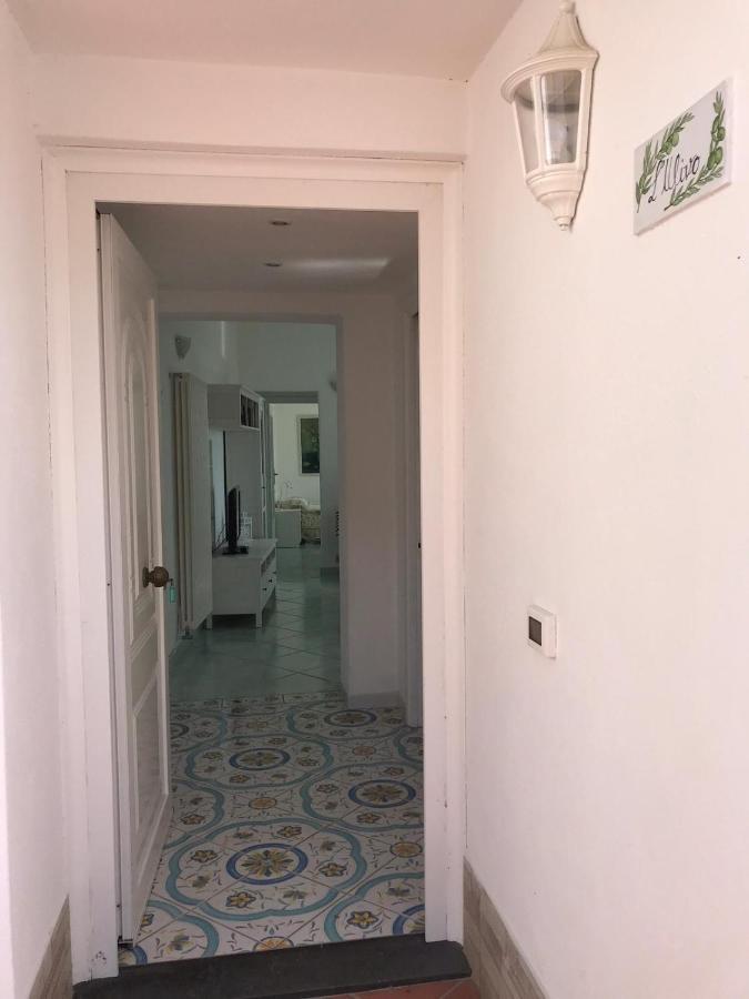 L' Ulivo Villa Nunzia Barano dʼIschia Esterno foto