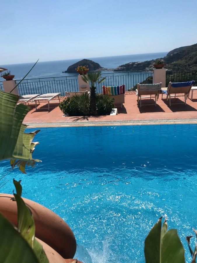L' Ulivo Villa Nunzia Barano dʼIschia Esterno foto